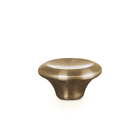 Light Gold Knob